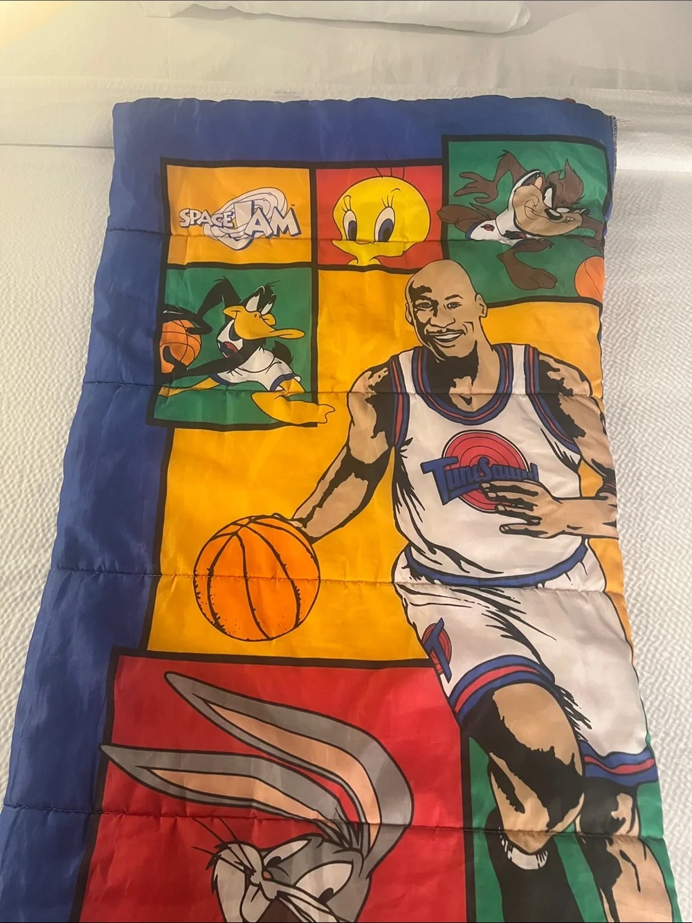 Vintage 90s Space Jam Sleeping Bag‎